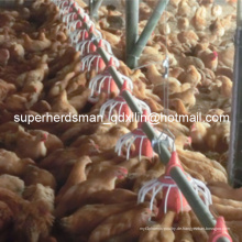 Komplettes Set Automatic Poultry Equipment für die Broilerproduktion